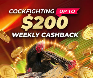 Cockfighting 3.88% Weekly Cashback 200 USD