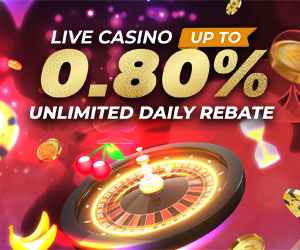 Casino 0.8% Unlimited Daily Rebate